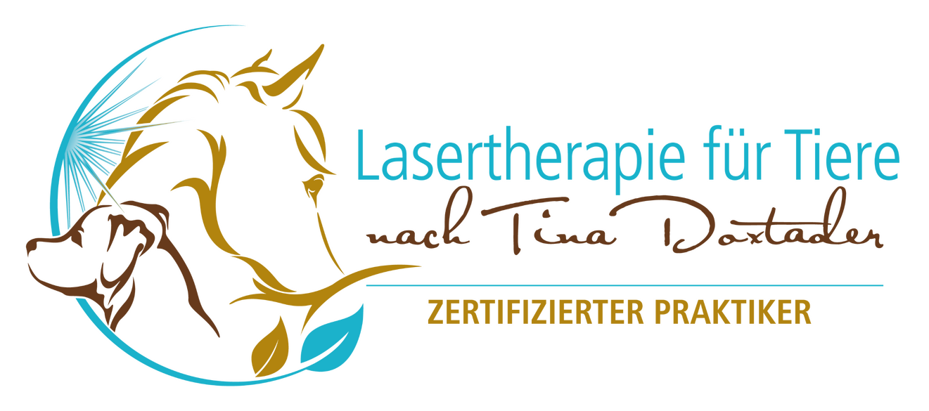 Lasertherapie Lasertherapie